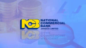 Veja as Ofertas e Peça Agora seu Empréstimos NCB