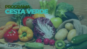 Aprenda Aqui a Solicitar o Benefício Cesta Verde